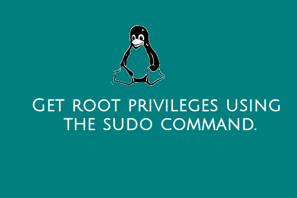 sudo_command_banner