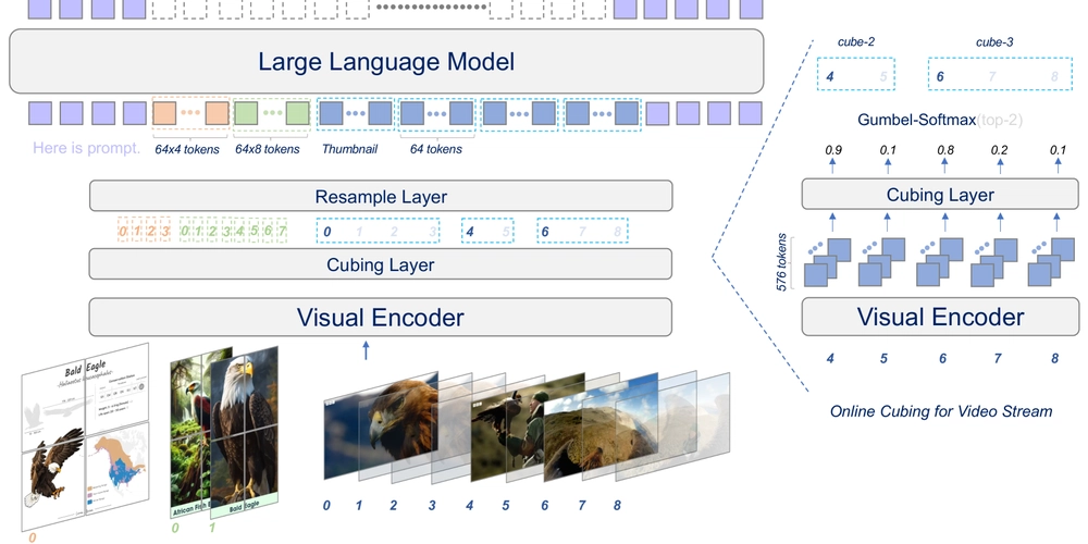 RL-Driven Video Compression: 75% Faster Video Understanding