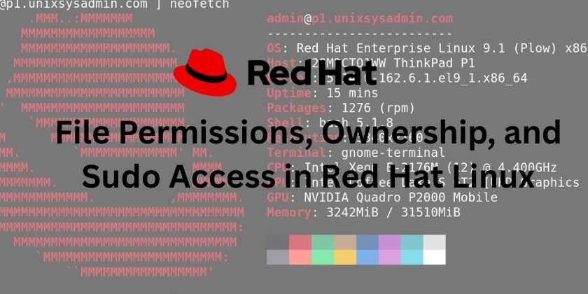 File Permissions, Ownership, and Sudo Access in Red Hat Linux