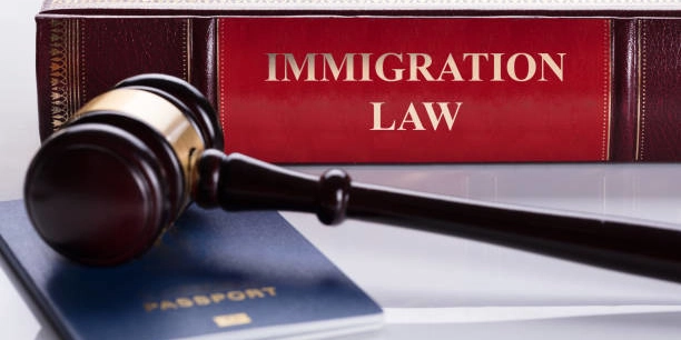 AI and the Future of U.S. Immigration Law: A New Tool for an Overloaded System