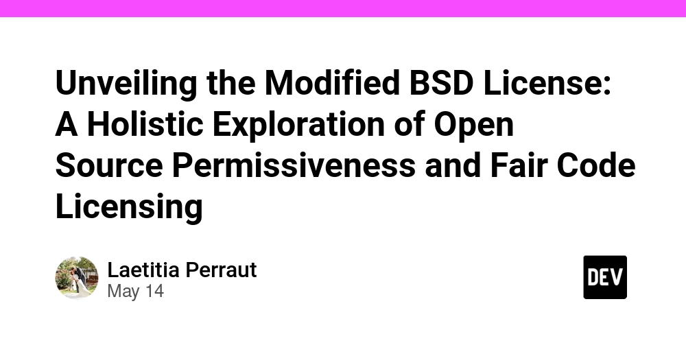Unveiling the Modified BSD License: A Holistic Exploration of Open Source Permissiveness and Fair Code Licensing