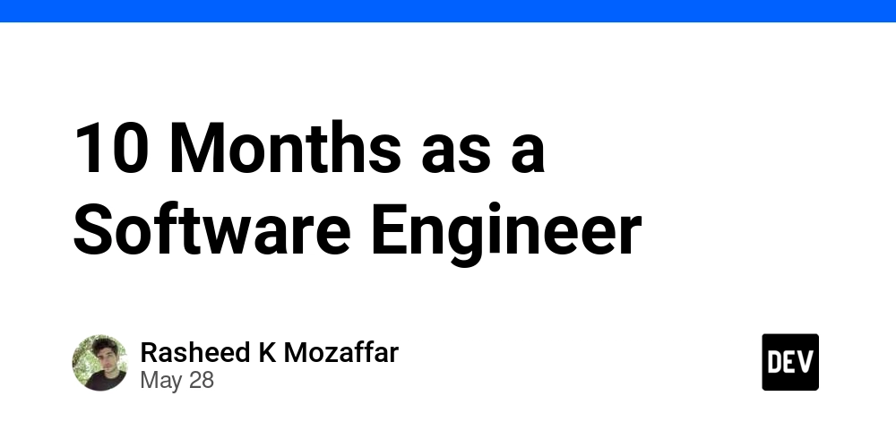 10 Months as a Software Engineer