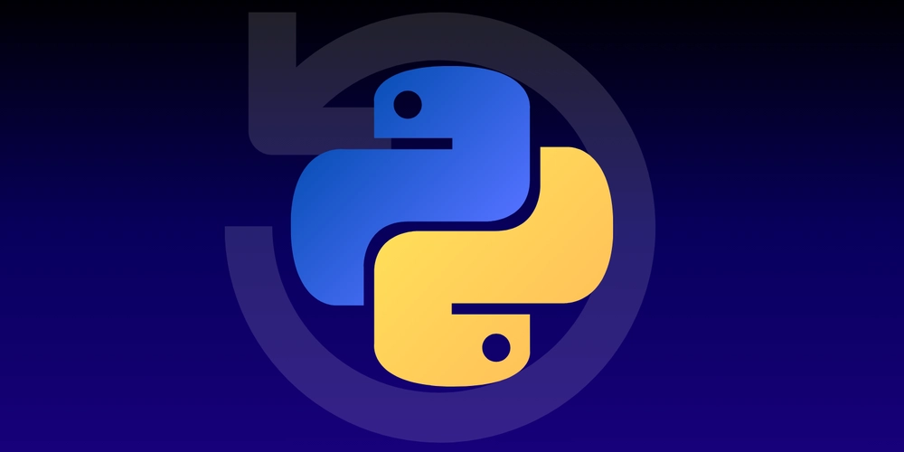 “Everyone Talks About How They’d Learn Python If They Started Over — I Actually Got to Do It”