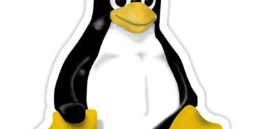 SIT - SRE agent for Linux