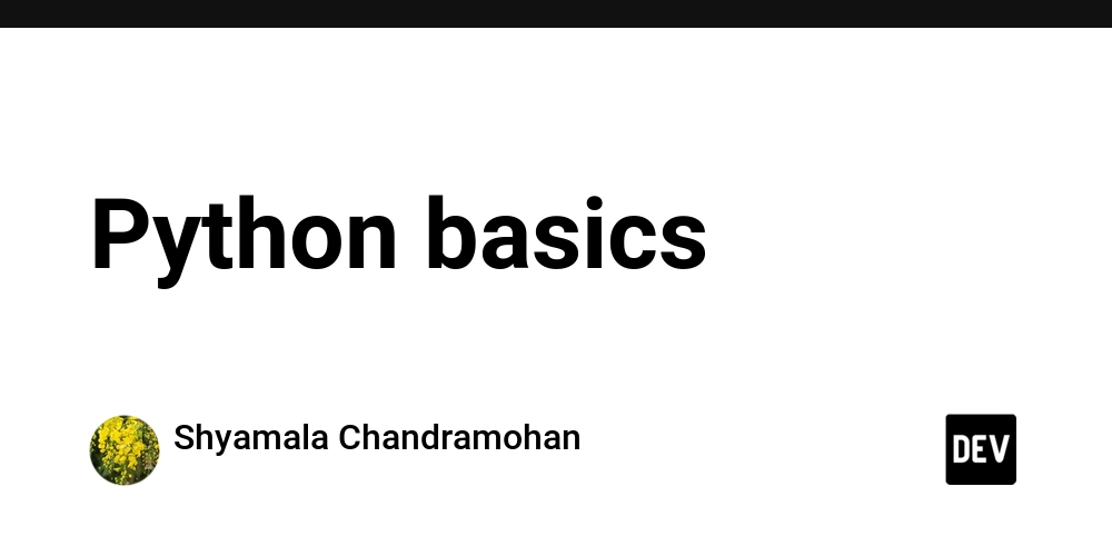Python basics