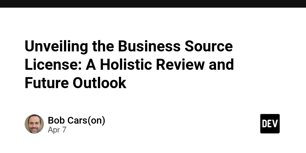 Unveiling the Business Source License: A Holistic Review and Future Outlook