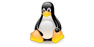 Mastering Linux Firewalls: Simple Steps to Boost Your Security!