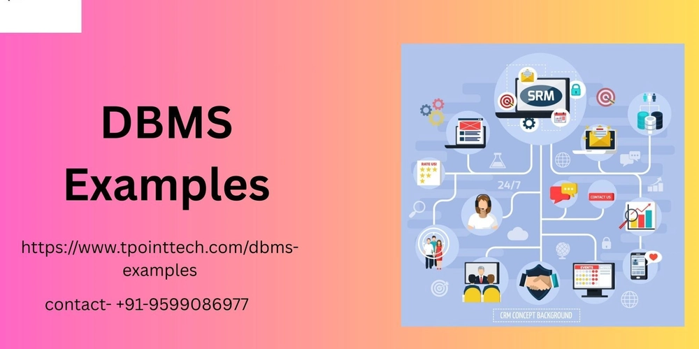 What Uses a DBMS? Real-Life Examples