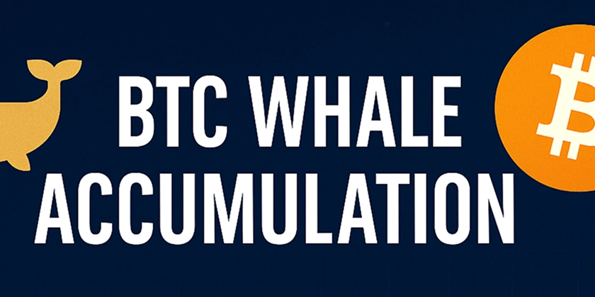 BTC Whale Accumulation: Signals for Developers in the Crypto Infrastructure Space