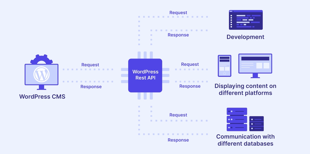 The Evolving WordPress Data Layer: Exploring the REST API and Beyond
