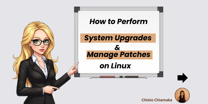 System Upgrades and Patch Management in Linux