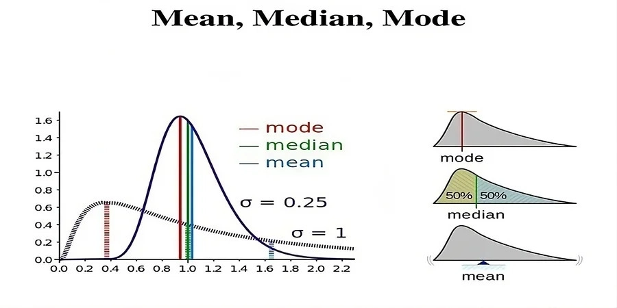 Statistics Basics