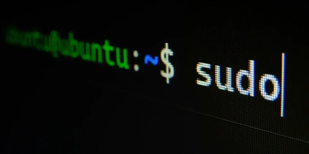 Essential Linux Commands Every Developer Should Master