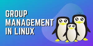 Group Management