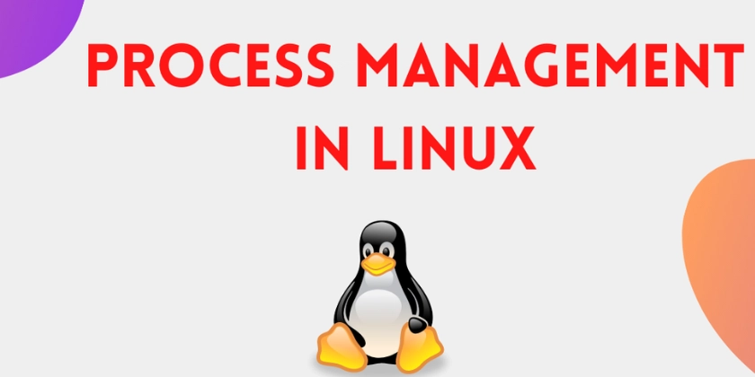 Linux Process Management – Monitor, Control, Optimize