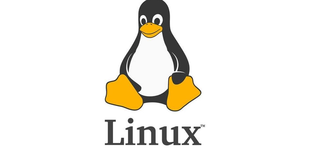 Get Connected: Mastering Networking Concepts and Configuration in Linux