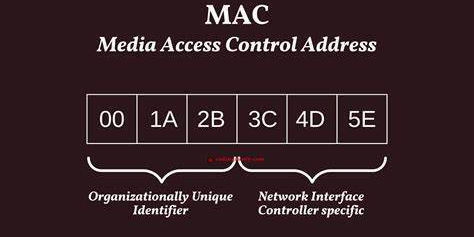 Retrieving System MAC Address Across OS Platforms