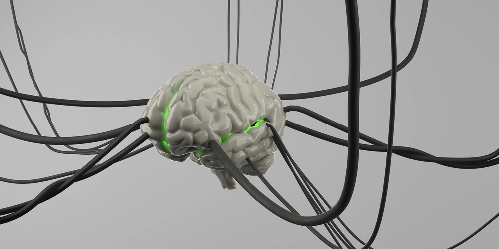 The Day I Read About a Computer Powered by Human Brain Cells—and It Shocked Me