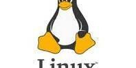 Why Should You Use Linux? Real-Life Reasons That Make a Difference