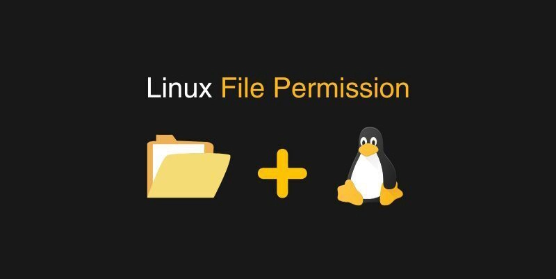 Mastering Linux File Permissions