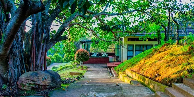 The Unexpected Open-Source Hub in Sri Lanka’s Hill Country