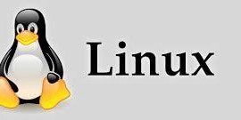 A Practical Guide to the cp (Copy) Command in Linux