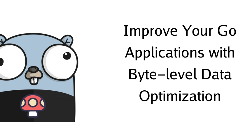 Improve Your Go Applications with Byte-level Data Optimization