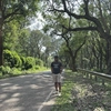 bholu_tiwari profile image