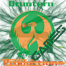 druntern profile image