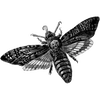 deszij profile image