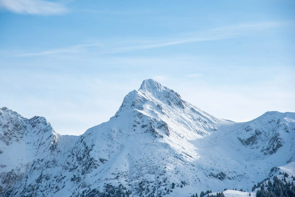Cover image for Getting started with Alpine.js and TypeScript