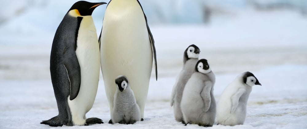 Cover image for An Introduction to Linux