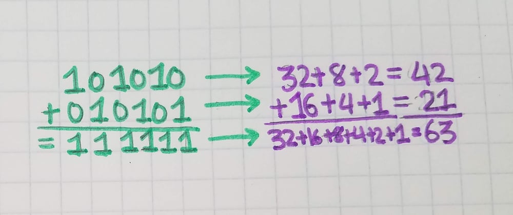 Cover image for Developer Dictionary - Binary Number System