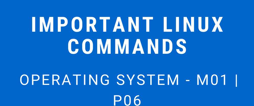 Cover image for Important Linux Commands | Operating System - M01 P06