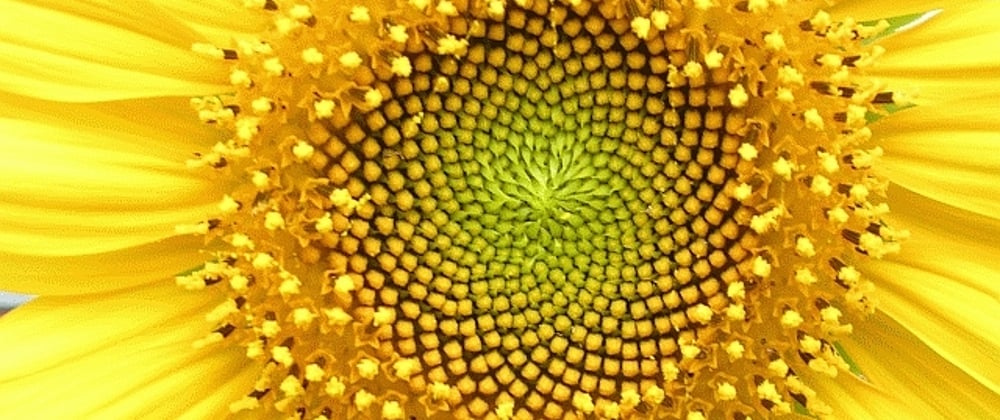 Cover image for The Fibonacci Sequence