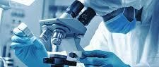How Can Clinical Research Courses Help You Become a Certified Professional?