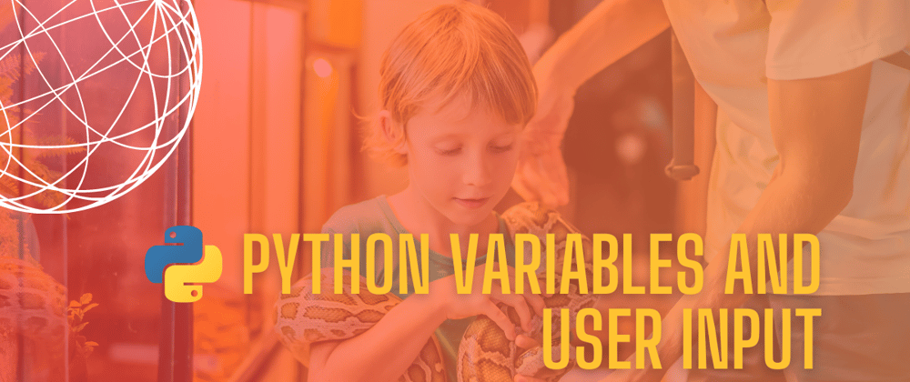 Cover image for Python Variables and User Input: A Beginner's Guide