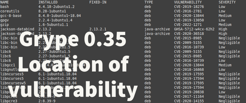Cover image for 💉 Grype 0.35.0 new feature : Indicate location of vulnerability