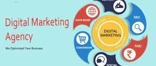 The Best Digital Marketing Agency in Jaipur: Elevating Your Online Success