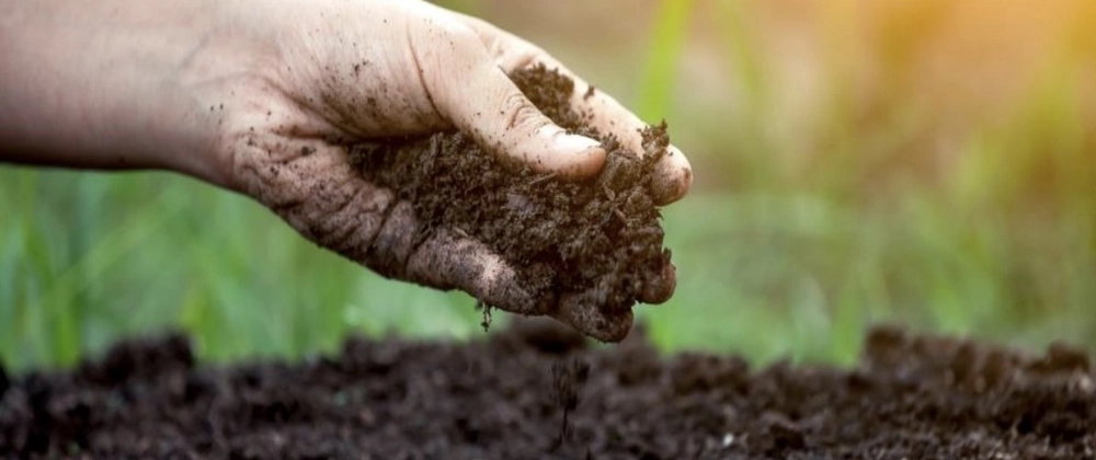 Organic Fertilizers: The Eco-Friendly Choice for Sustainable Agriculture