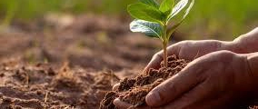 Why Arysta LifeScience Is a Leading Choice for Farmers in Pakistan