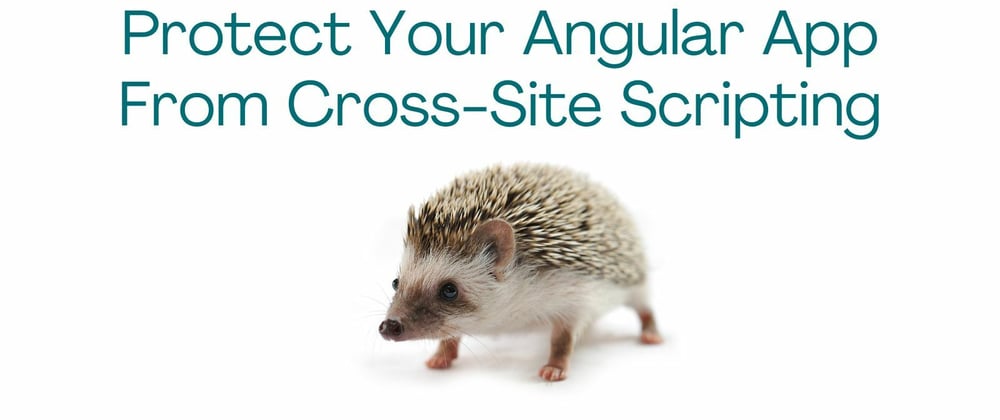 Cover image for Protect Your Angular App From Cross-Site Scripting