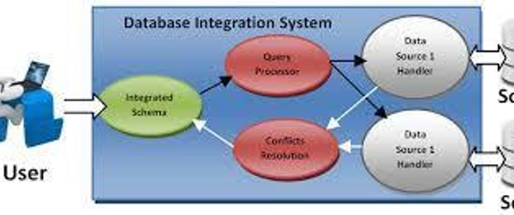 Cover image for Database Integration