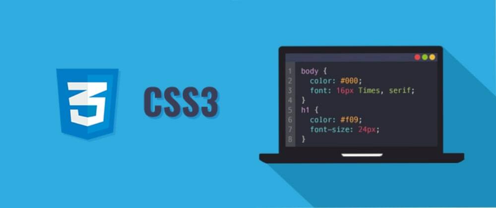 Master useful CSS pseudo-classes