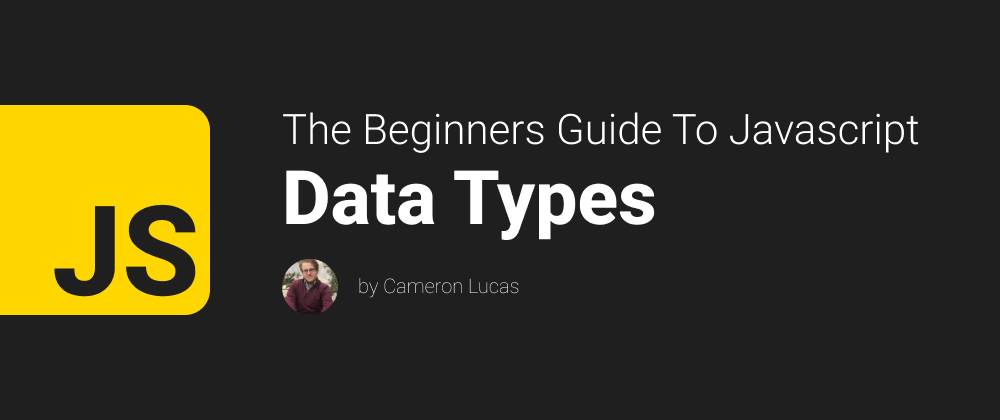 Cover image for Javascript Data Types - The Beginners Guide To Javascript(Part 1)