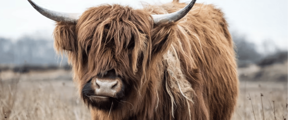 Cover image for Tech Jargon Defined: What is Yak Shaving?