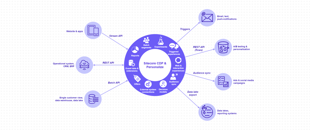 Cover image for Custom guest profile attributes in Sitecore CDP