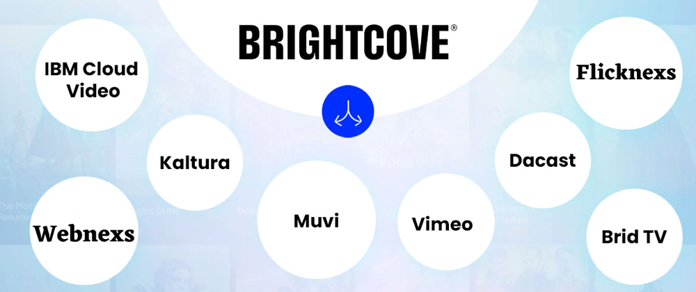 The Top Brightcove Alternatives Every Marketer Needs to Know