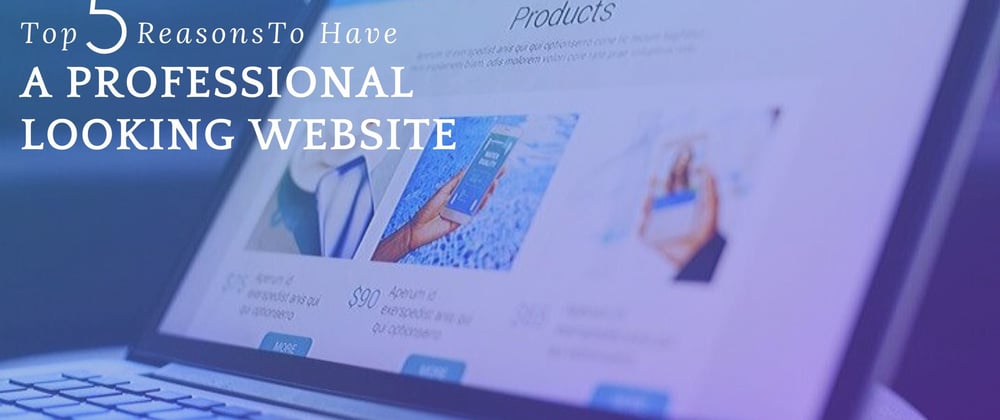 	
Top 5 Reasons To Have A Professional Looking Website 