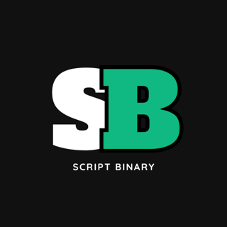 Script Binary logo